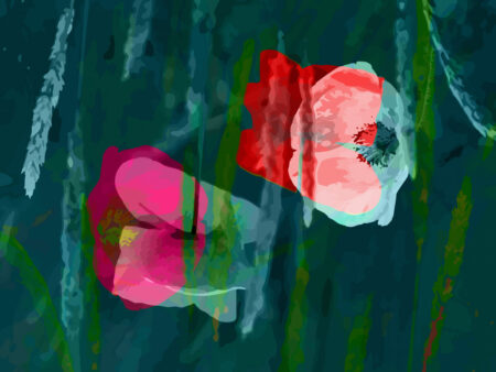 Poppies nr11 - Artwork of amsterdamoncanvas.com: Prachtige klaprozen als akoestisch paneel